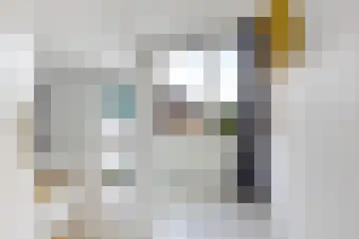 Zwingelstraat 3 Oss thumbnail 19