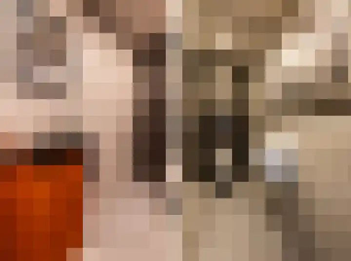 Zwingelstraat 3 Oss thumbnail 22