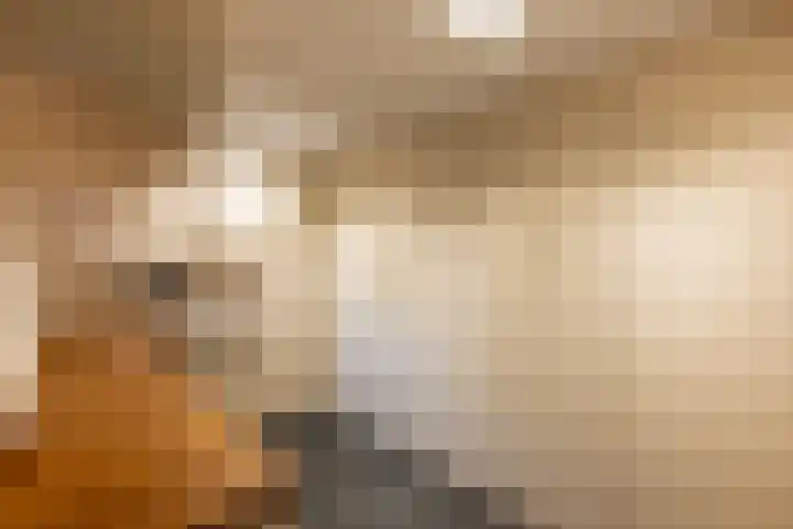 Zwingelstraat 3 Oss thumbnail 23