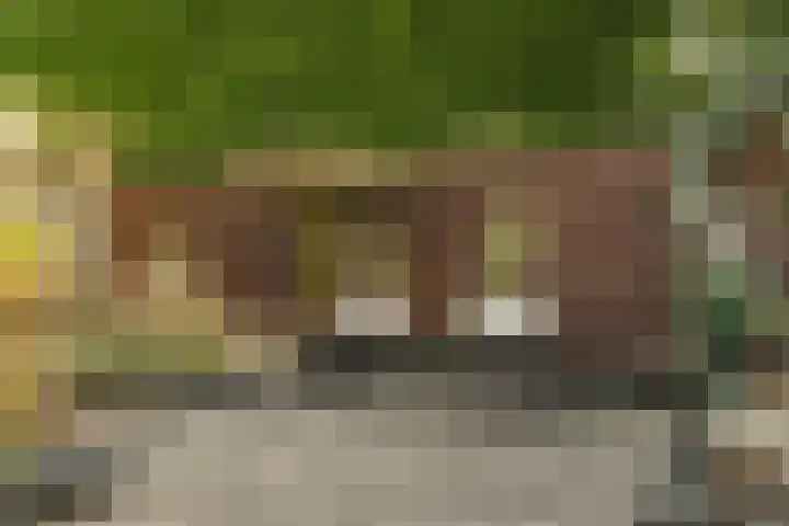 Zwingelstraat 3 Oss thumbnail 26