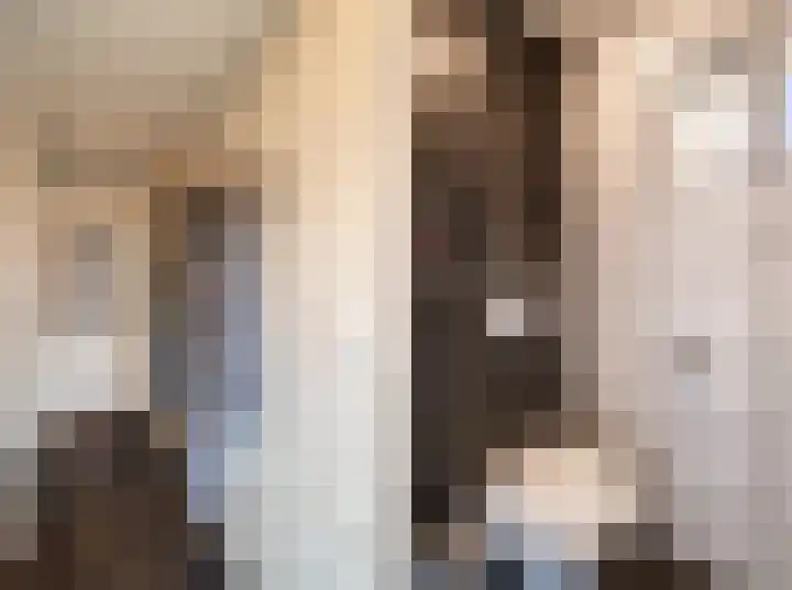 Zwingelstraat 3 Oss thumbnail 6