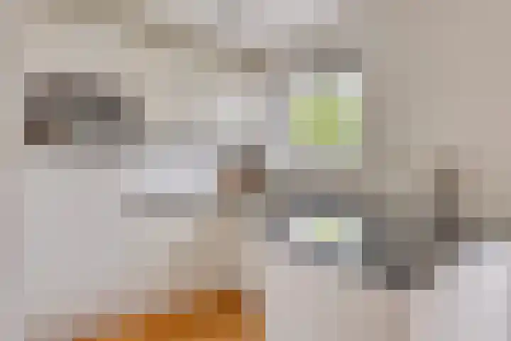Zwingelstraat 31 Dinteloord thumbnail 12
