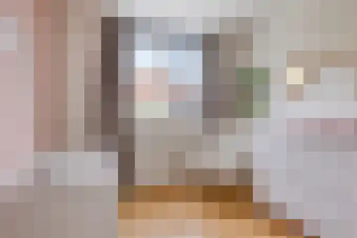 Zwingelstraat 31 Dinteloord thumbnail 19