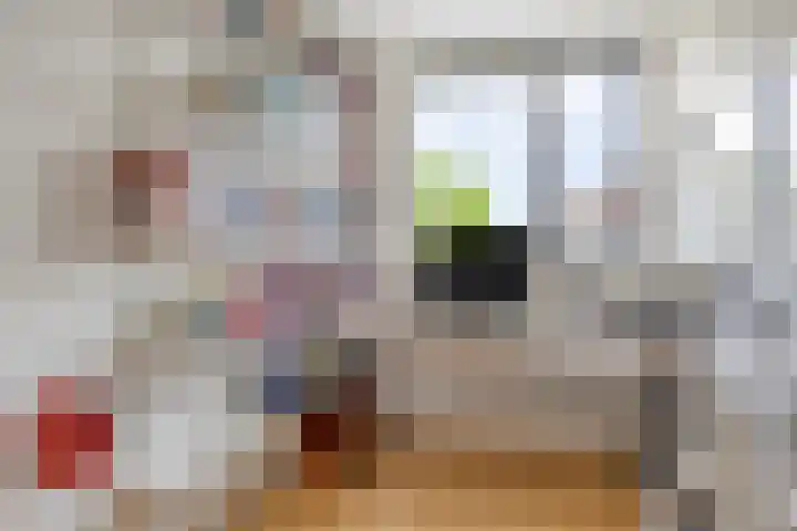 Zwingelstraat 31 Dinteloord thumbnail 21