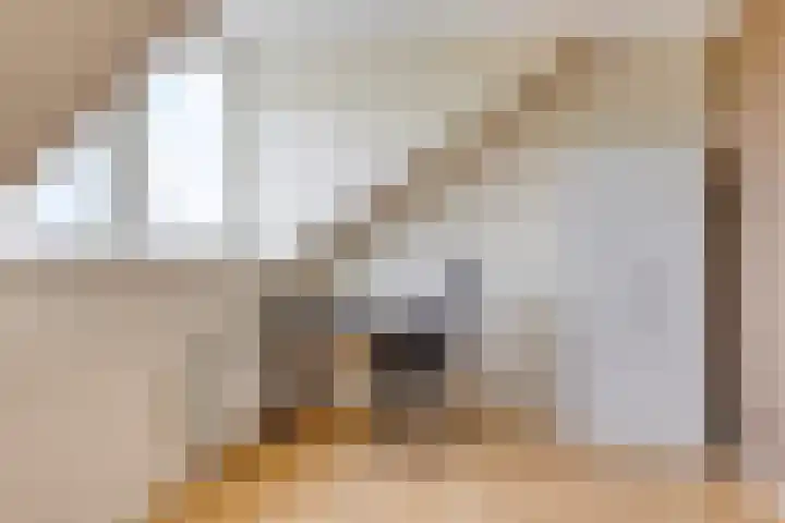 Zwingelstraat 31 Dinteloord thumbnail 27