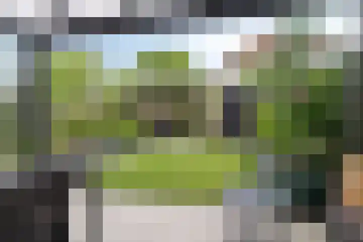 Zwingelstraat 31 Dinteloord thumbnail 29