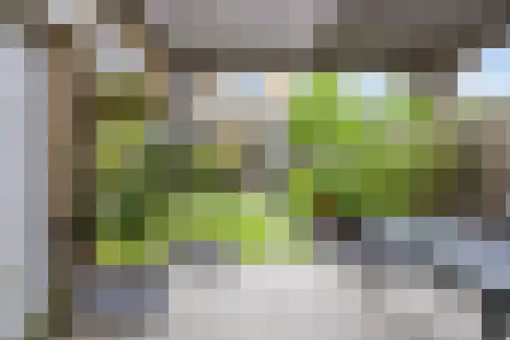 Zwingelstraat 31 Dinteloord thumbnail 30