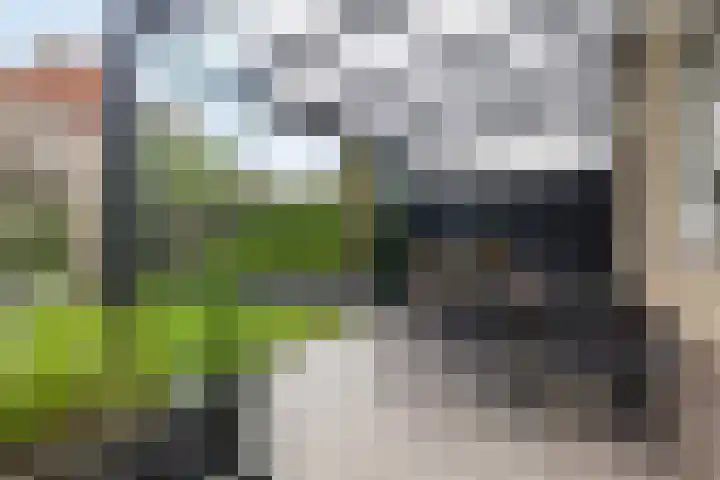 Zwingelstraat 31 Dinteloord thumbnail 31