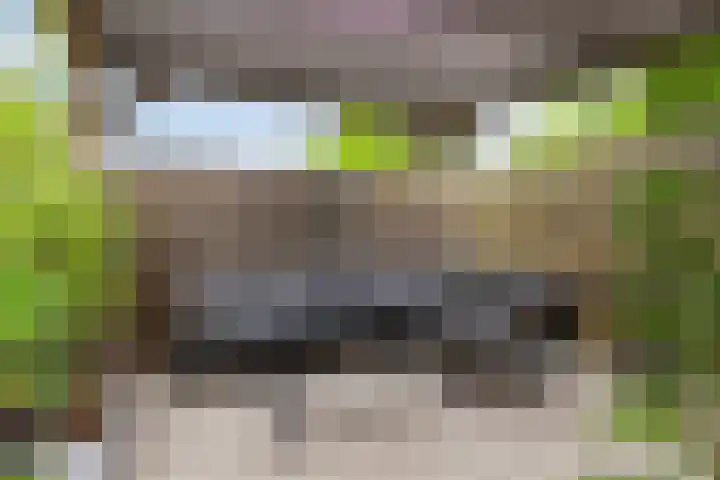 Zwingelstraat 31 Dinteloord thumbnail 33