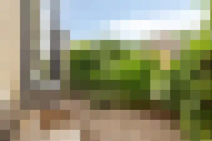 Zwingelstraat 31 Dinteloord thumbnail 34