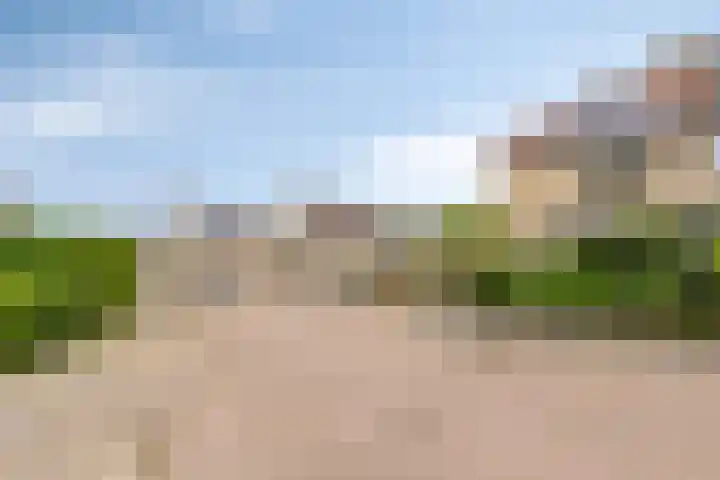 Zwingelstraat 31 Dinteloord thumbnail 36