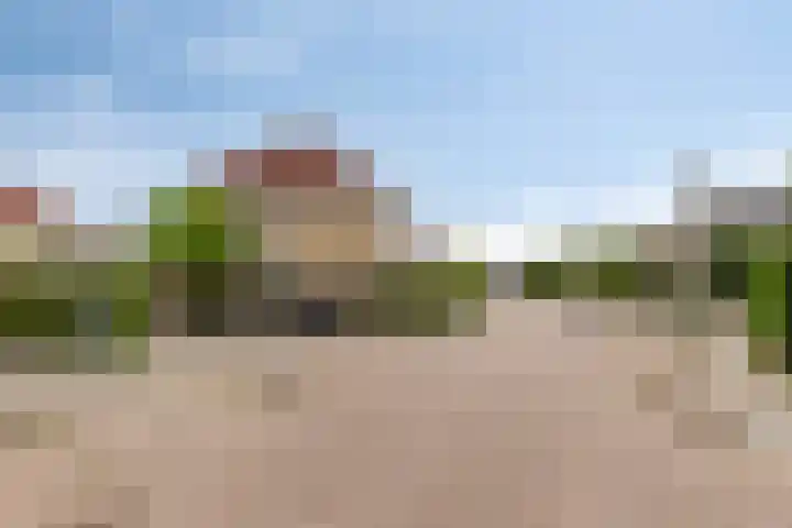 Zwingelstraat 31 Dinteloord thumbnail 37