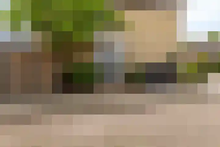 Zwingelstraat 31 Dinteloord thumbnail 38