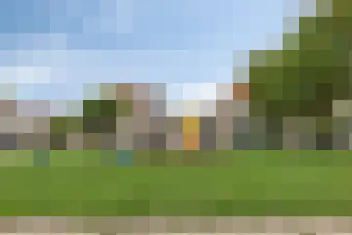 Zwingelstraat 31 Dinteloord thumbnail 39