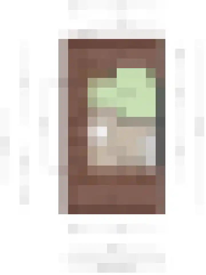 Zwingelstraat 31 Dinteloord thumbnail 45