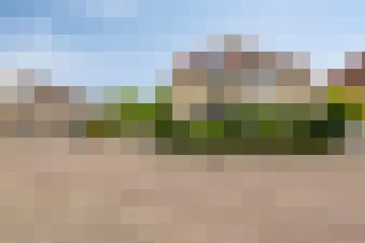 Zwingelstraat 31 Dinteloord thumbnail 48