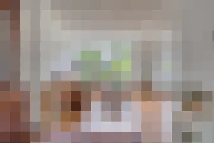 Zwingelstraat 31 Dinteloord thumbnail 5