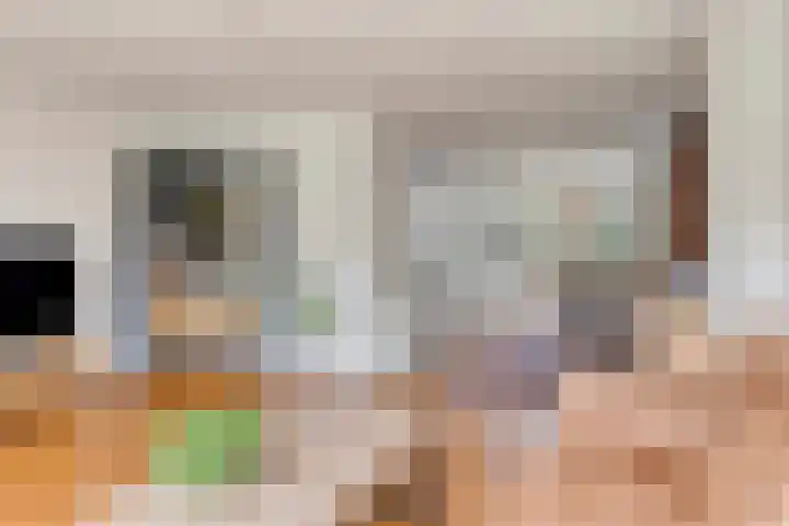 Zwingelstraat 31 Dinteloord thumbnail 6