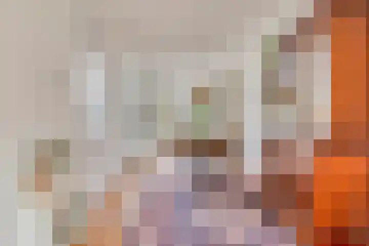 Zwingelstraat 31 Dinteloord thumbnail 8