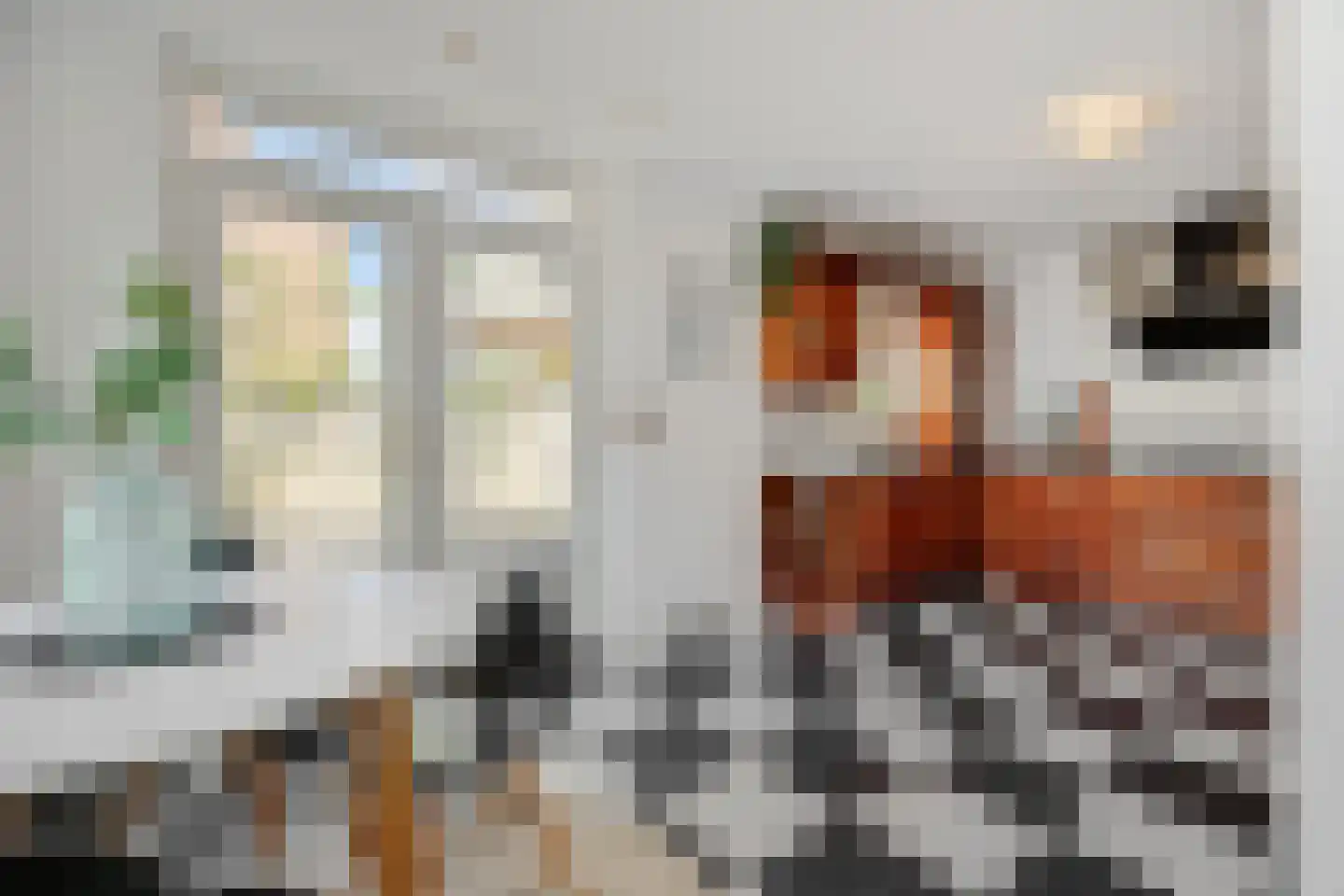 Zwingelstraat 31 Oss thumbnail 12
