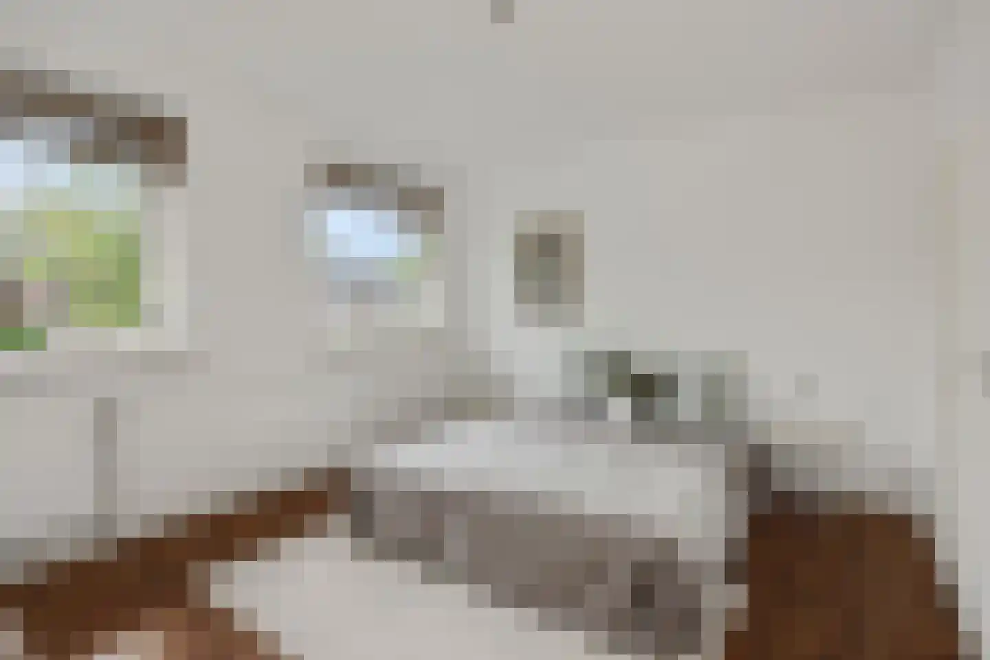 Zwingelstraat 31 Oss thumbnail 17