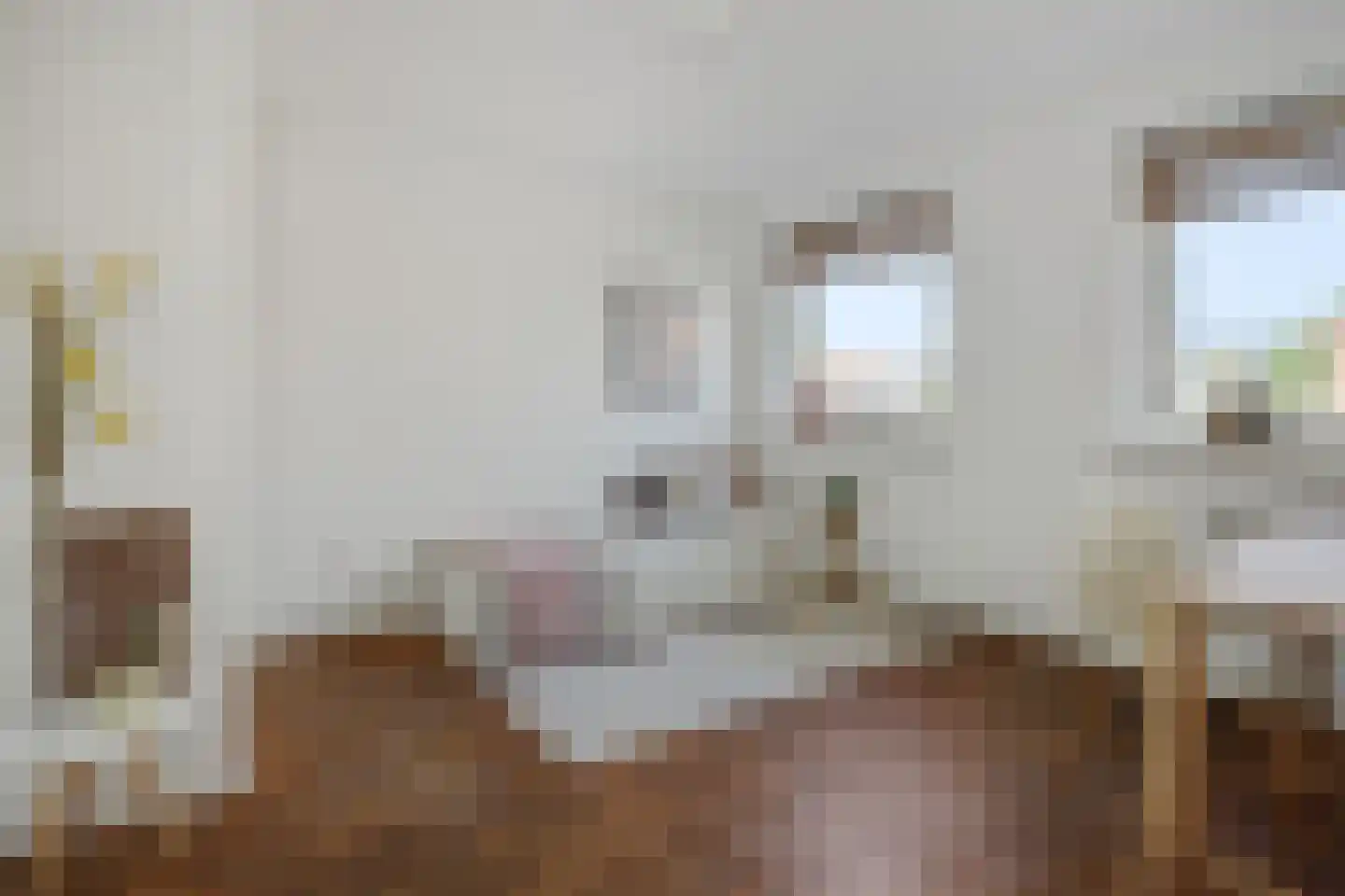 Zwingelstraat 31 Oss thumbnail 19