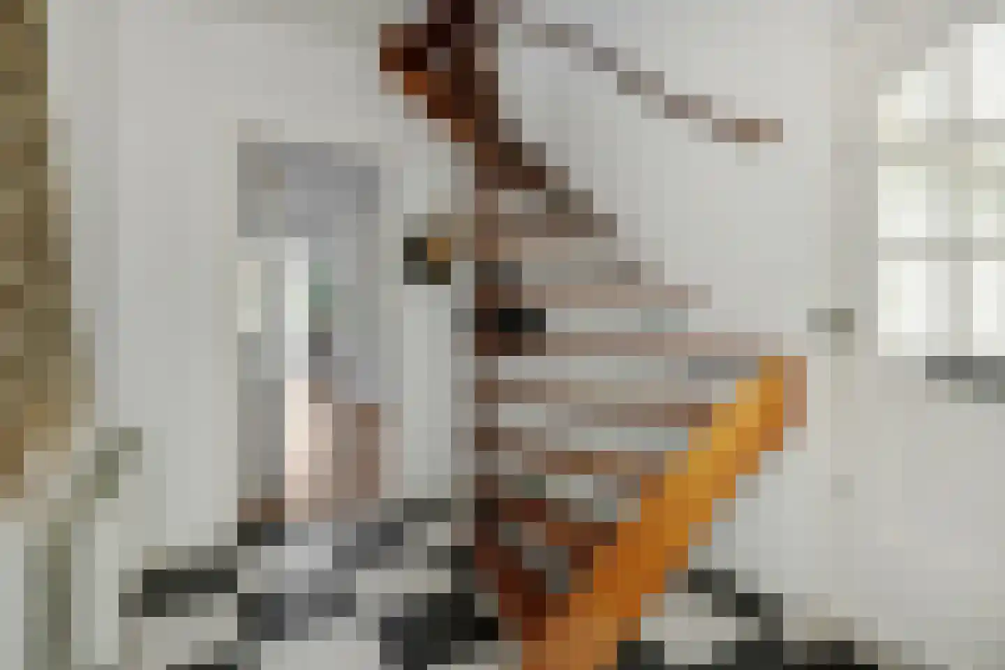 Zwingelstraat 31 Oss thumbnail 5