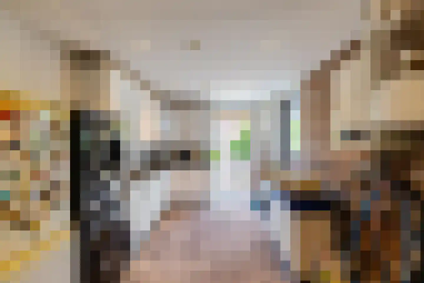 Zwinglistraat 14 Groningen thumbnail 21