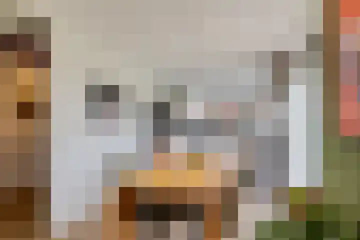 Zwinglistraat 2 Groningen thumbnail 12