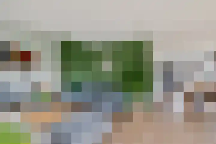 Zwinglistraat 2 Groningen thumbnail 13