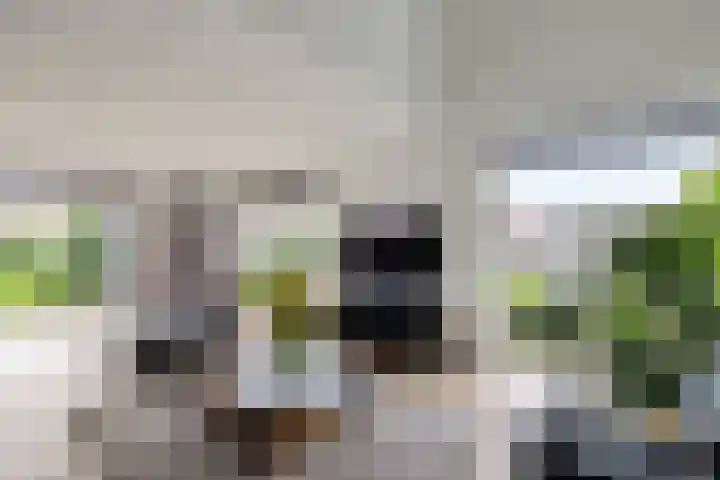 Zwinglistraat 2 Groningen thumbnail 15