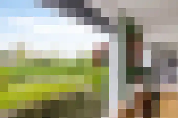 Zwinglistraat 2 Groningen thumbnail 16