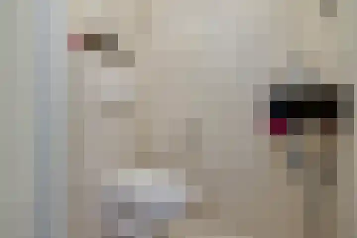 Zwinglistraat 2 Groningen thumbnail 17
