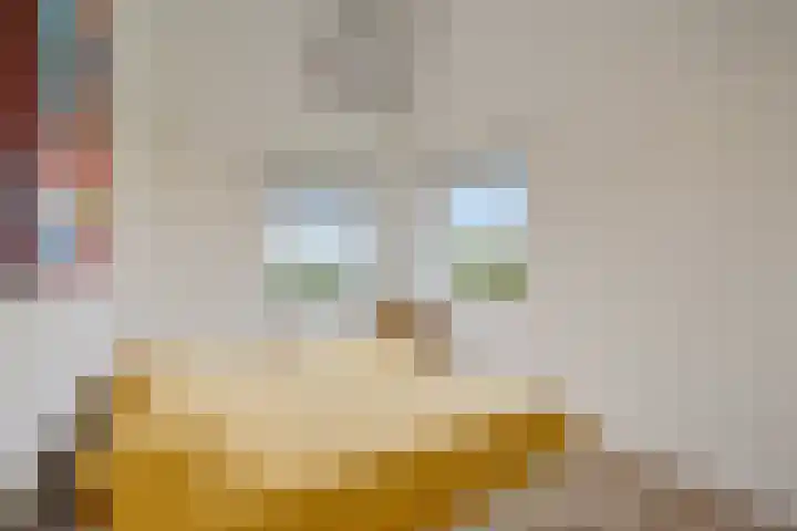 Zwinglistraat 2 Groningen thumbnail 20
