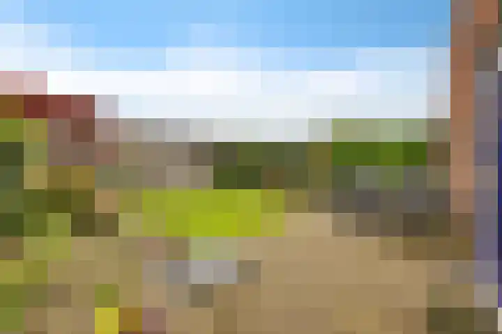 Zwinglistraat 2 Groningen thumbnail 29
