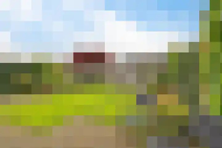 Zwinglistraat 2 Groningen thumbnail 30