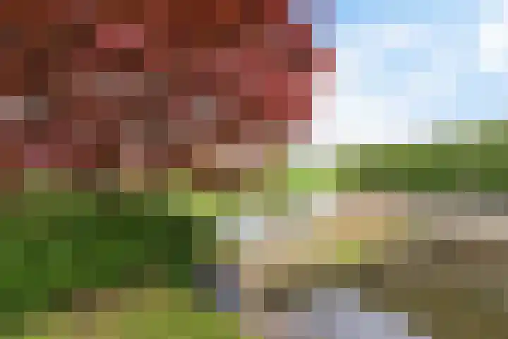 Zwinglistraat 2 Groningen thumbnail 32