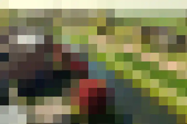 Zwinglistraat 2 Groningen thumbnail 33