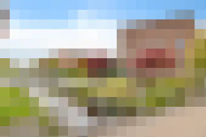 Zwinglistraat 2 Groningen thumbnail 4