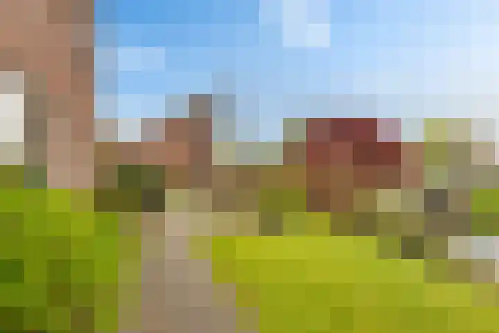 Zwinglistraat 2 Groningen thumbnail 7