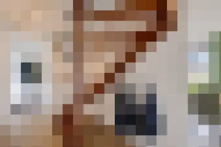 Zwinglistraat 2 Groningen thumbnail 8