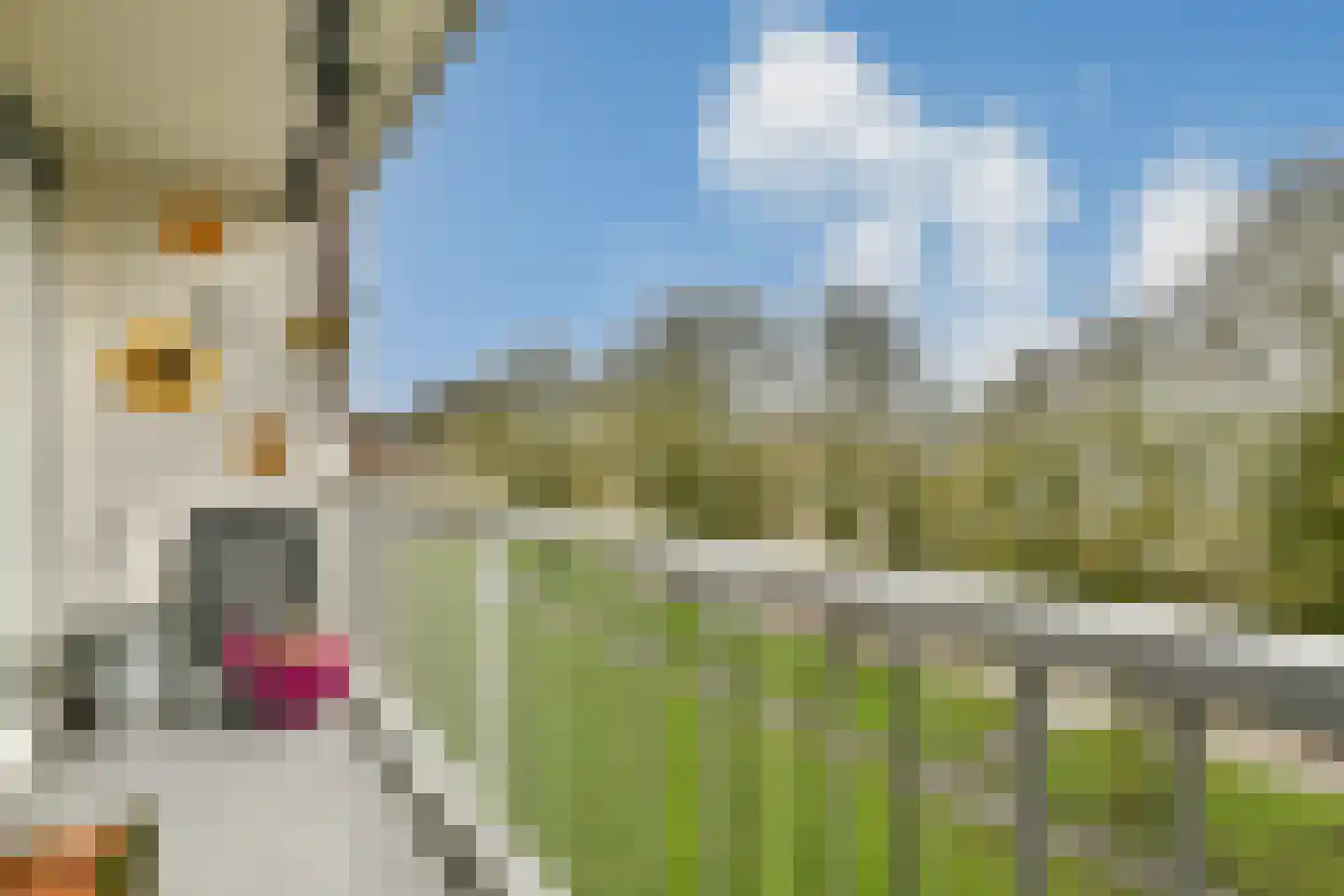 Zwingliweg 71 Amstelveen thumbnail 17