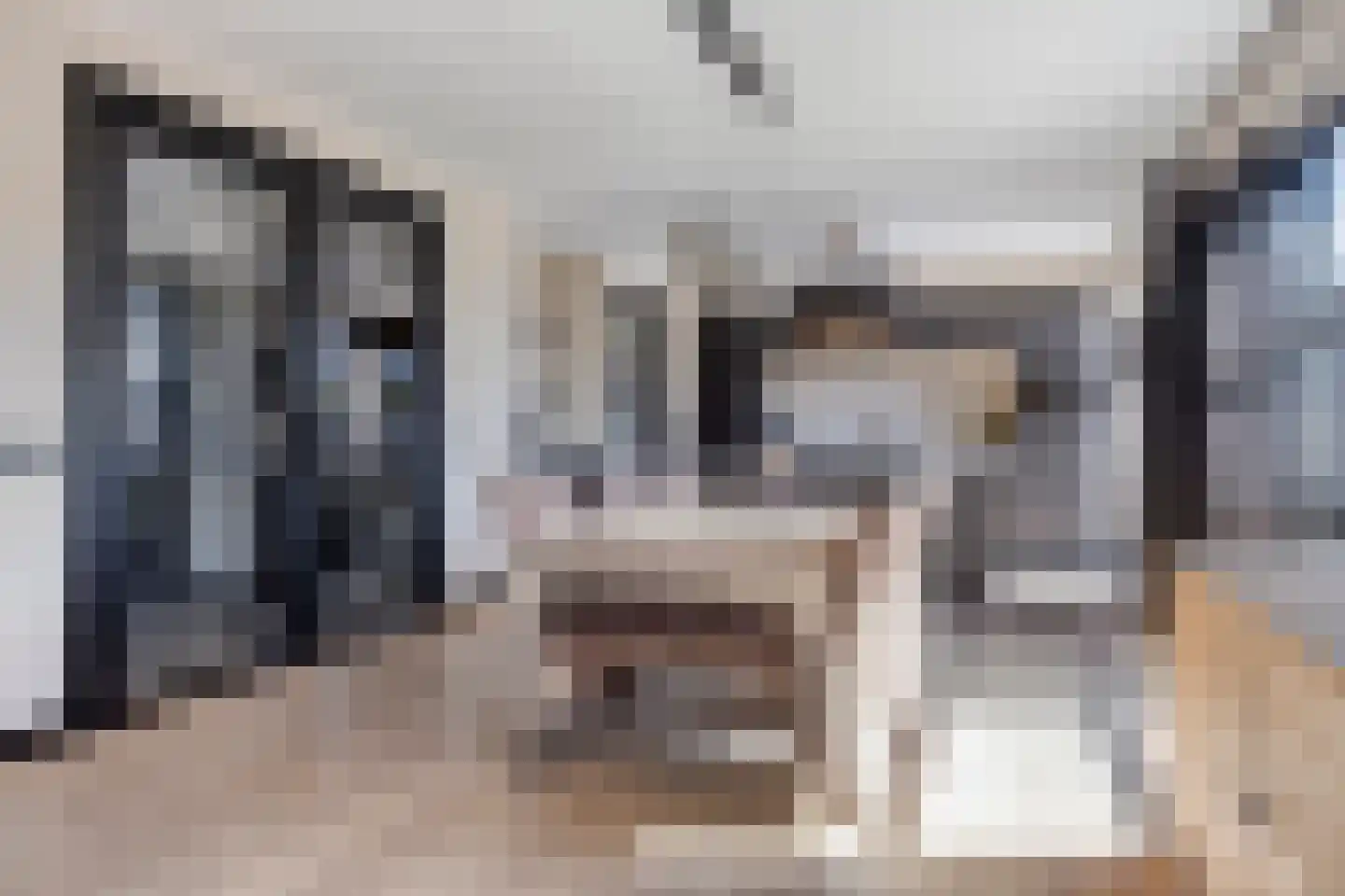 Zwink 23 Tholen thumbnail 13