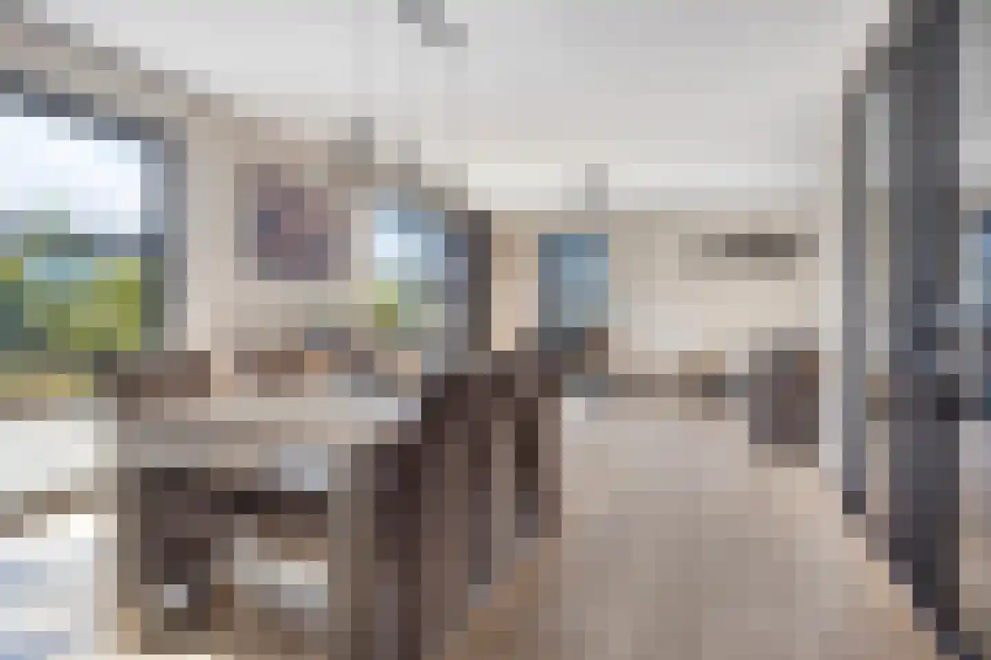 Zwink 23 Tholen thumbnail 14