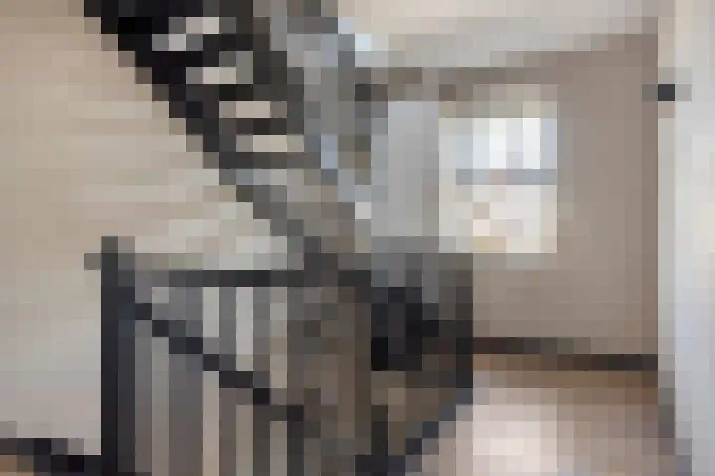 Zwink 23 Tholen thumbnail 25