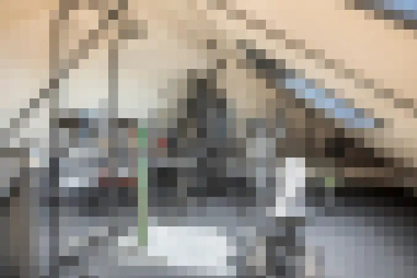 Zwink 23 Tholen thumbnail 38