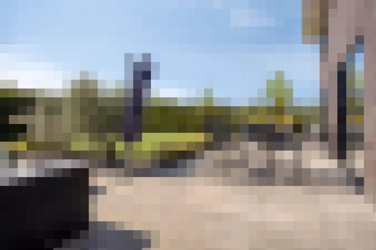 Zwink 23 Tholen thumbnail 39