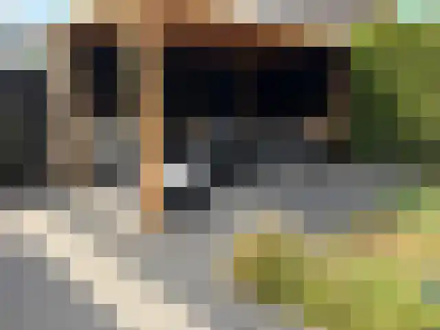 Zwink 23 Tholen thumbnail 47