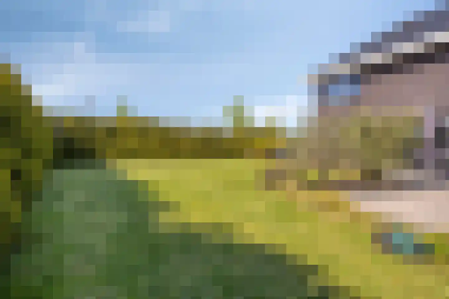 Zwink 23 Tholen thumbnail 48