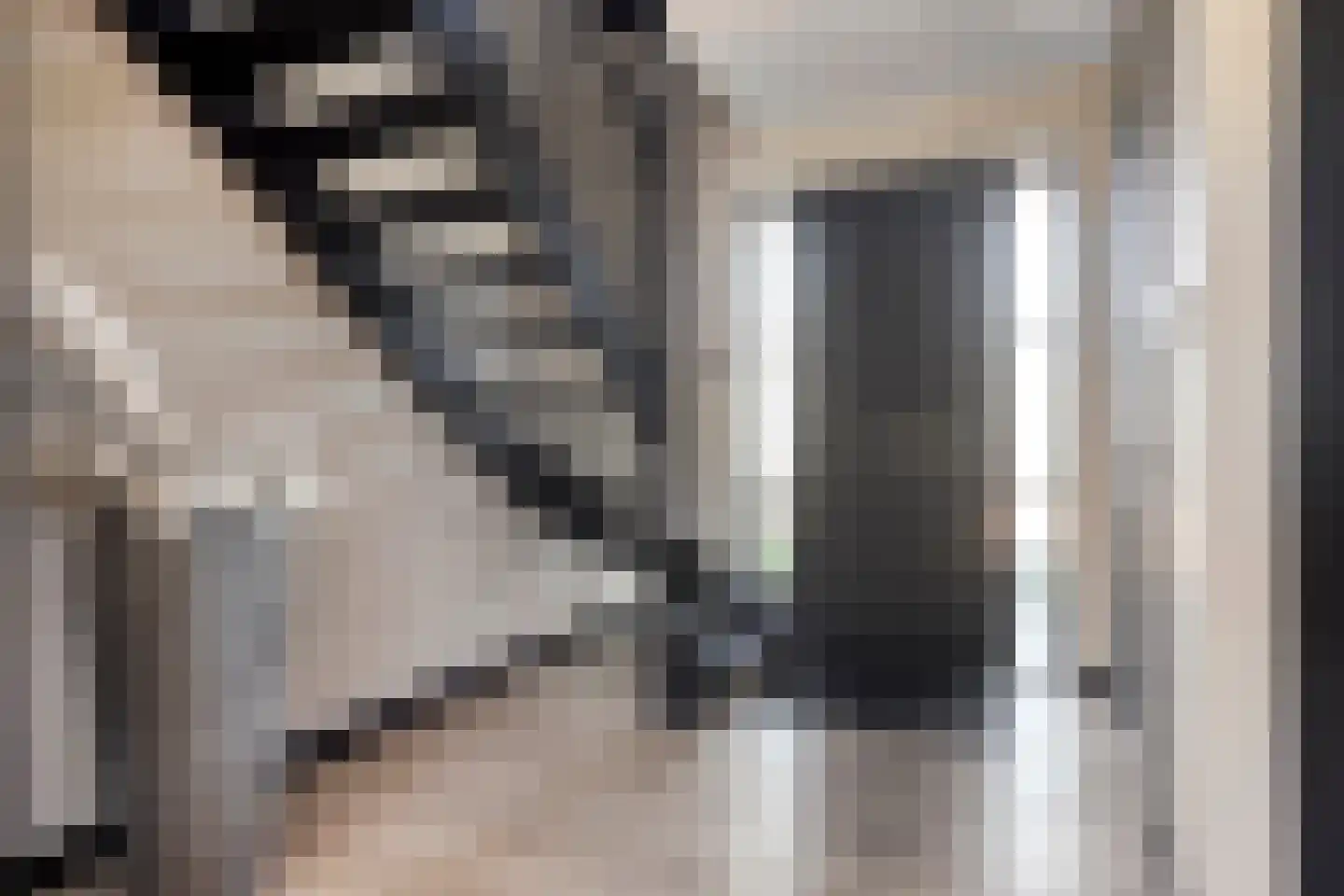 Zwink 23 Tholen thumbnail 7
